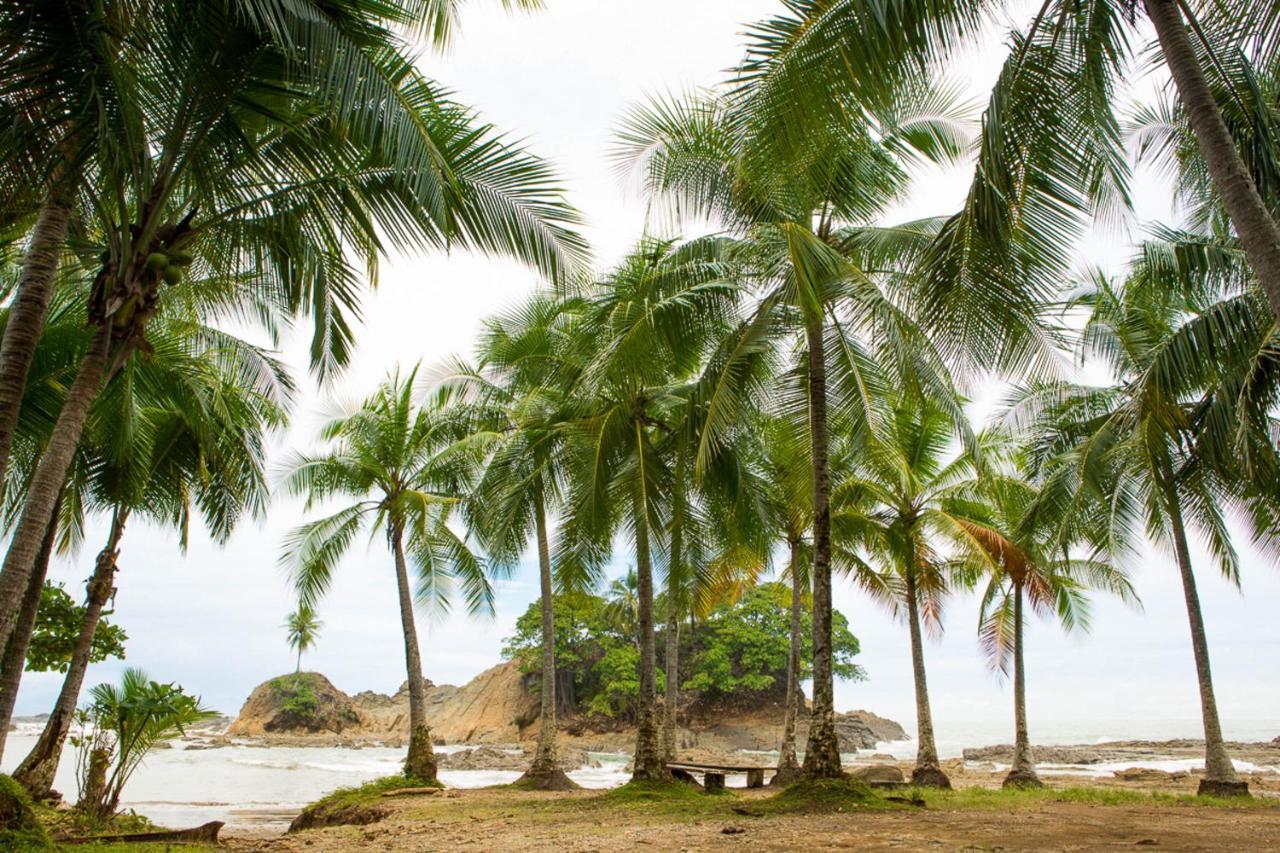 Pacific Edge Eco Lodge Dominical Exterior photo