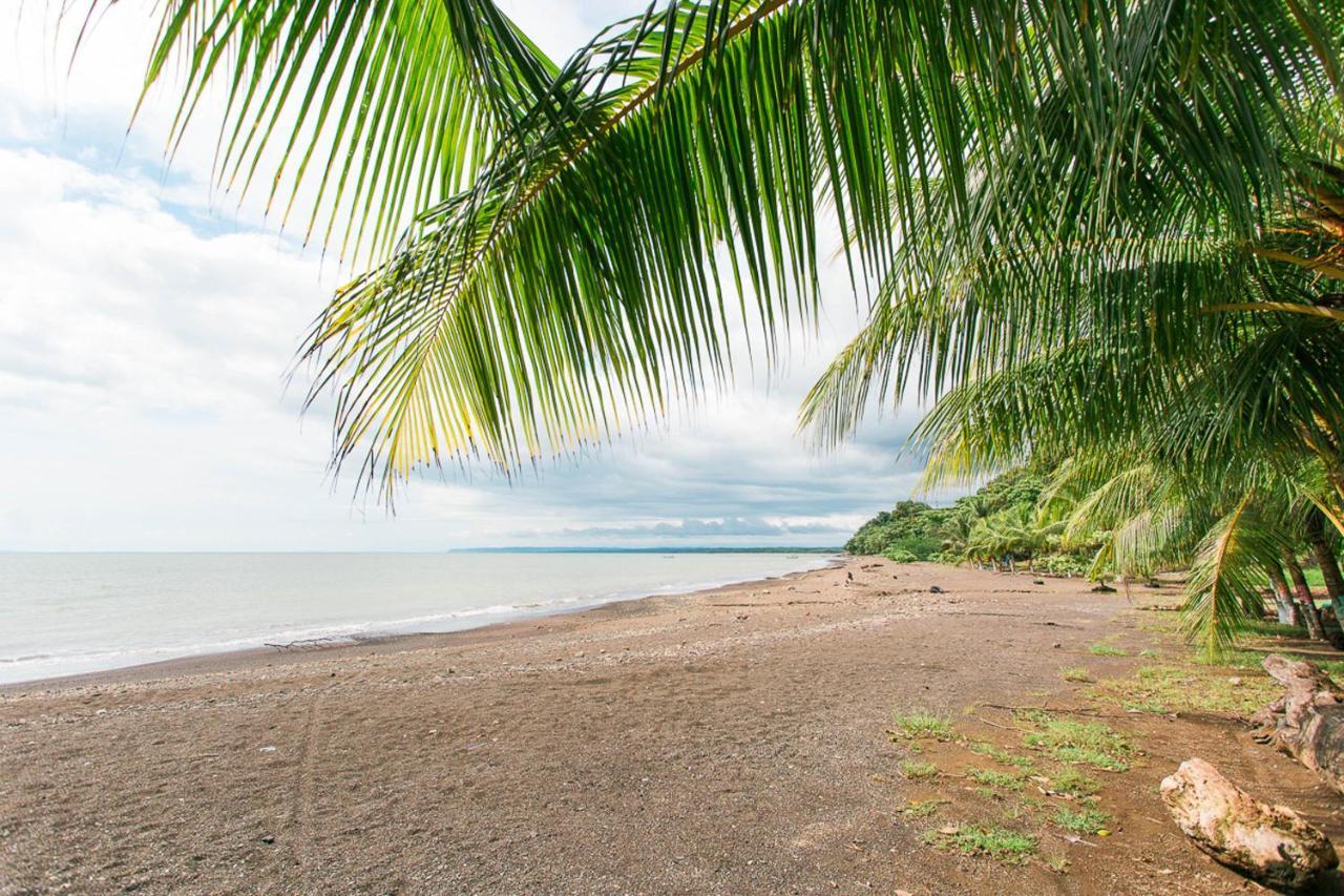 Pacific Edge Eco Lodge Dominical Exterior photo