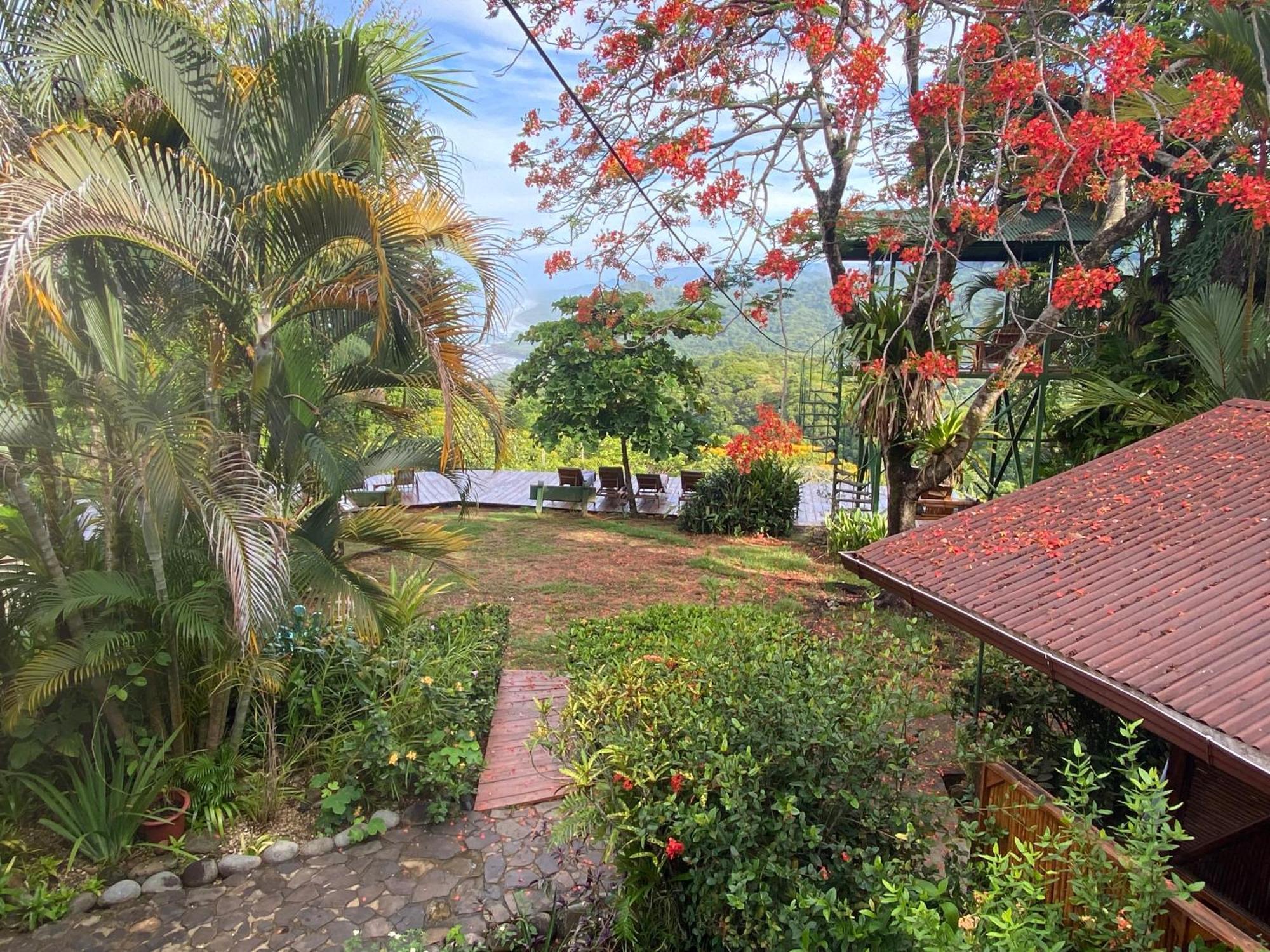 Pacific Edge Eco Lodge Dominical Exterior photo