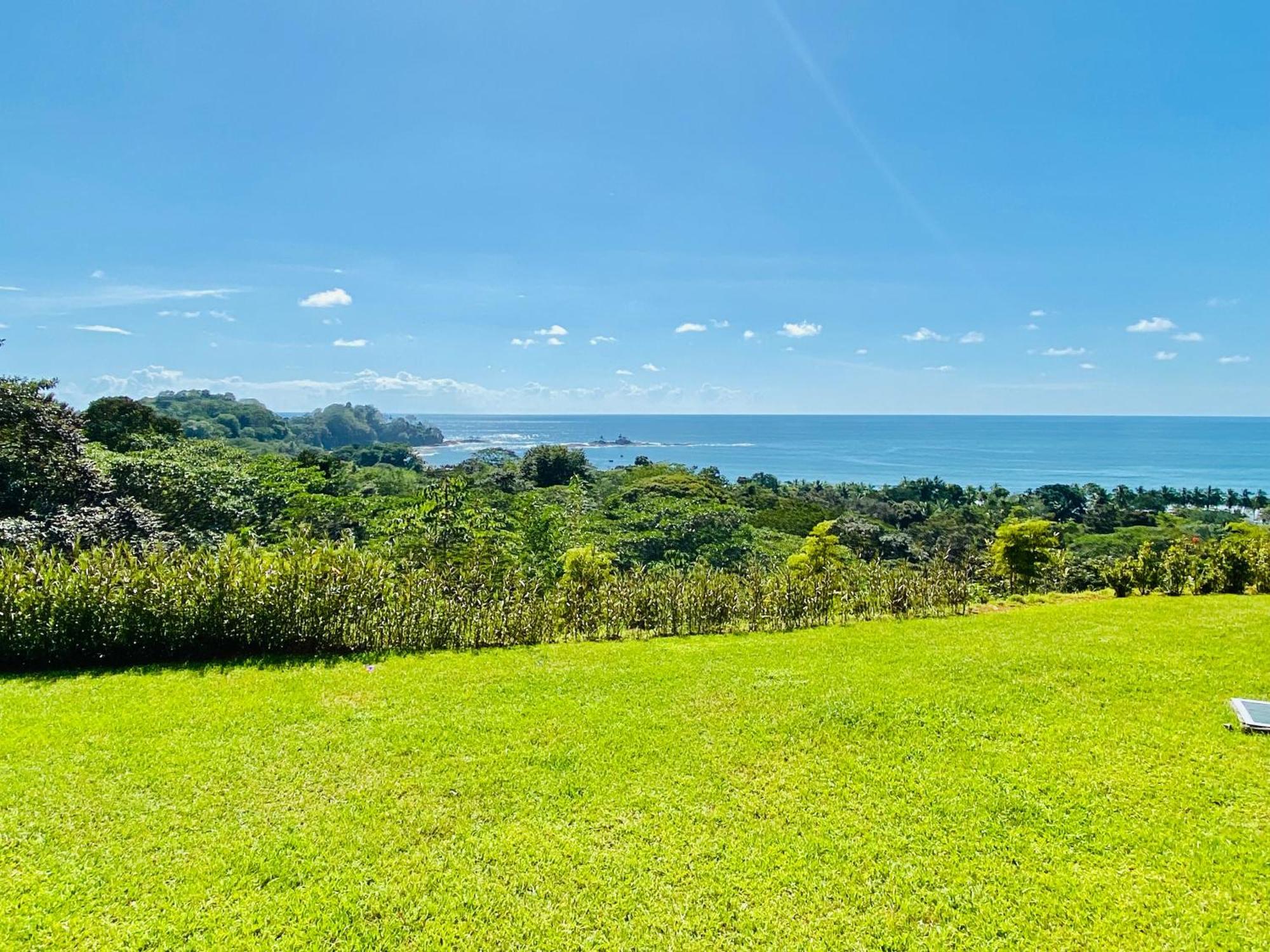 Pacific Edge Eco Lodge Dominical Room photo